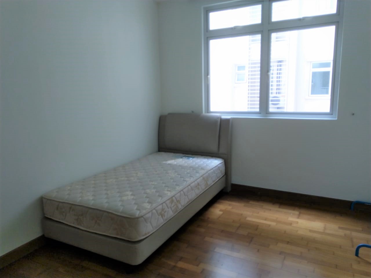 Ceriaan 0751 - photo 5