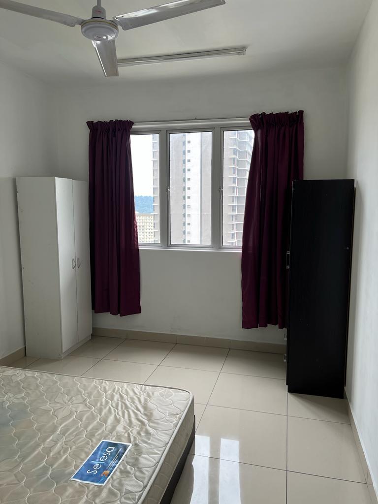 maxim 3511 - photo 3