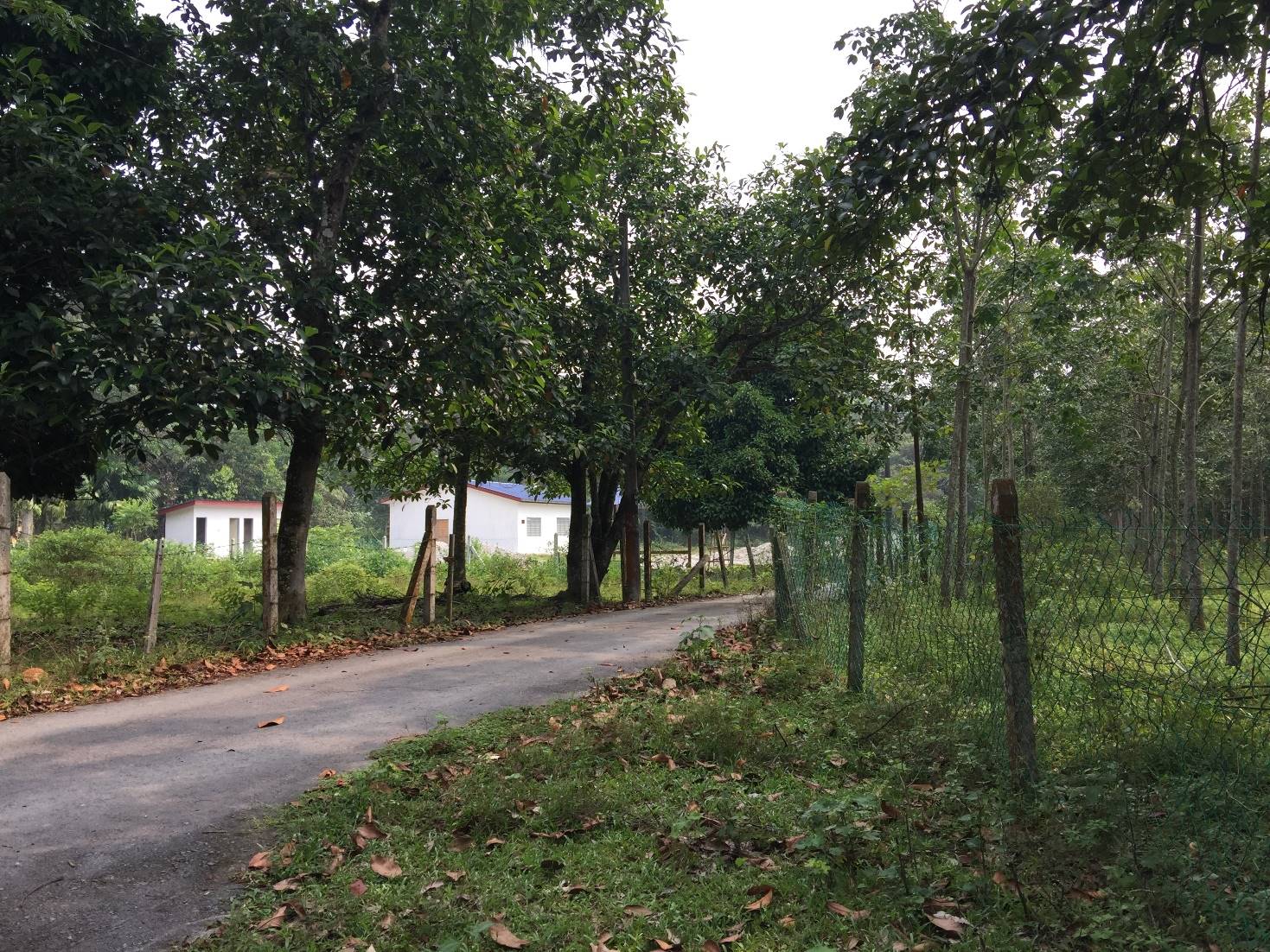 LAND Labu, Seremban 2 - photo 2