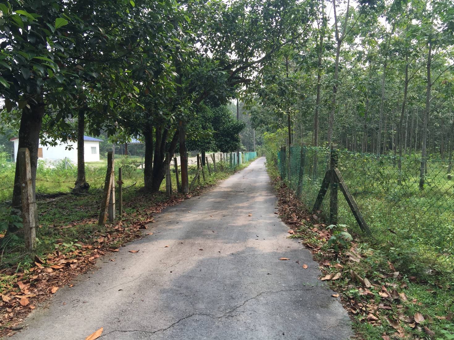 LAND Labu, Seremban 2 - photo 3