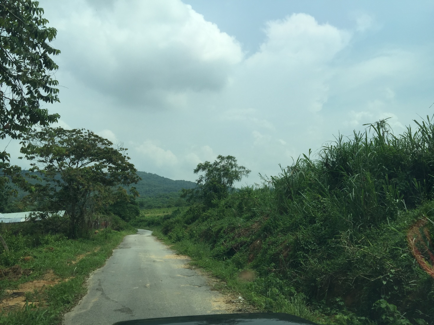 Land Near Taman Ekar Matahari - photo 5