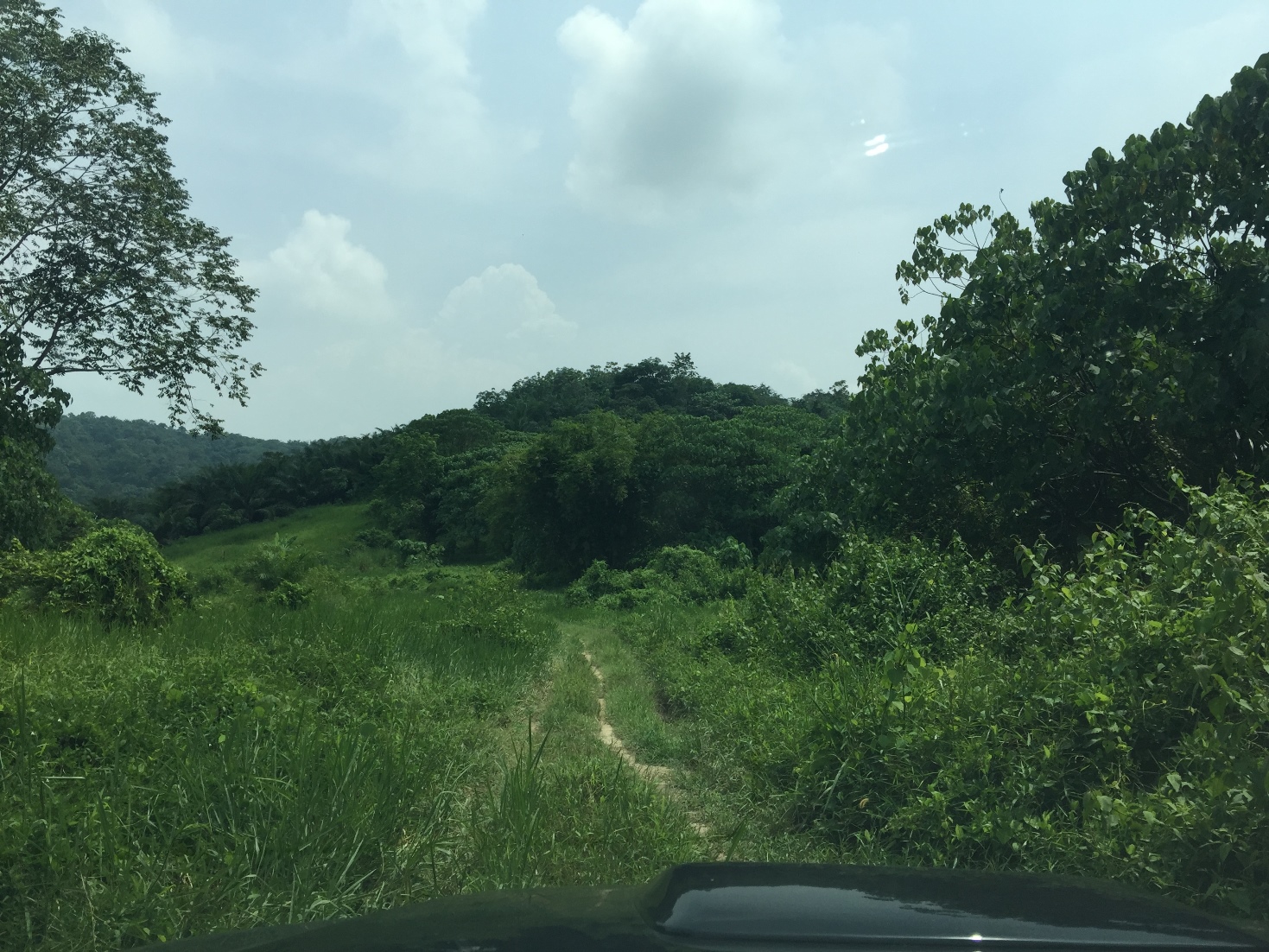 1 Acres Agriculture Land BENTONG Pahang - photo 2