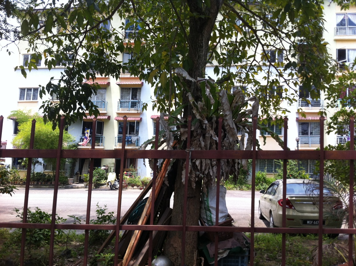 Las Palmas Apartment, Bandar Country Homes - photo 3