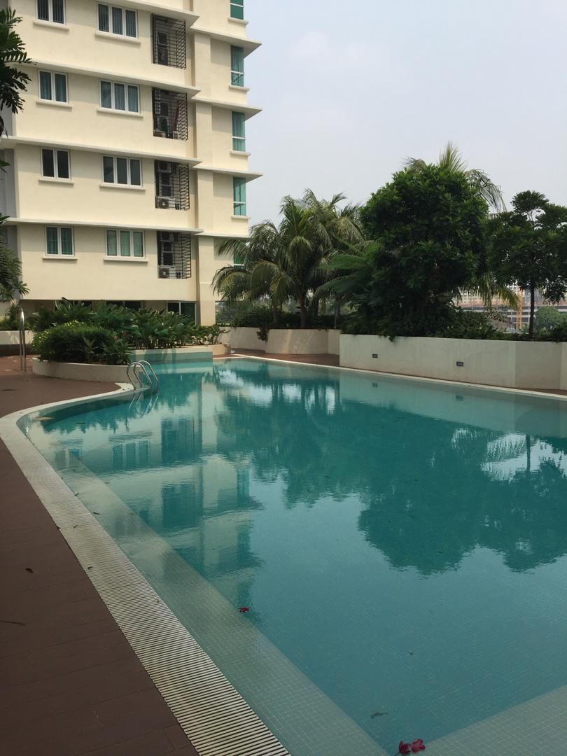 sutera maya - photo 6