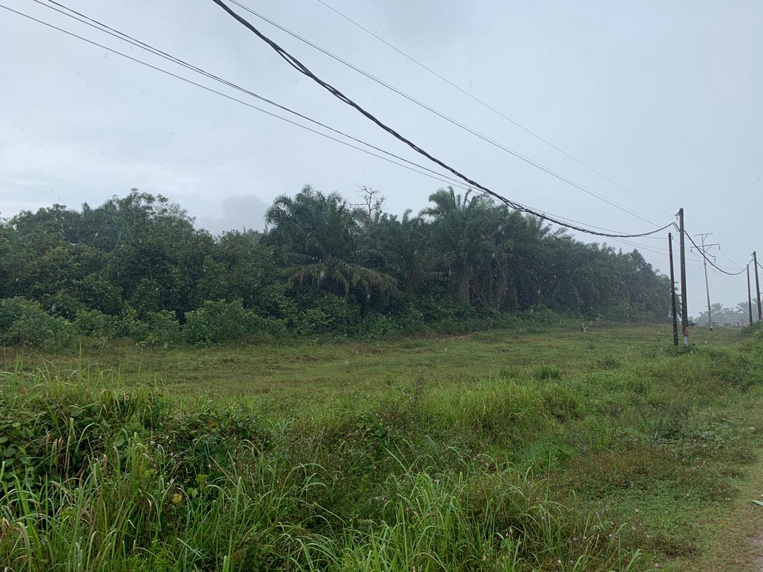 Bestari Jaya - photo 2