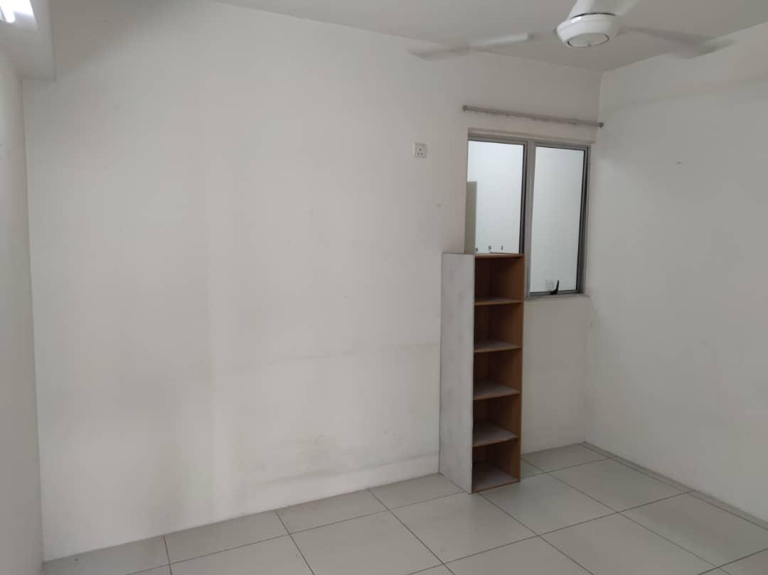 Calisa M For Rent - photo 8