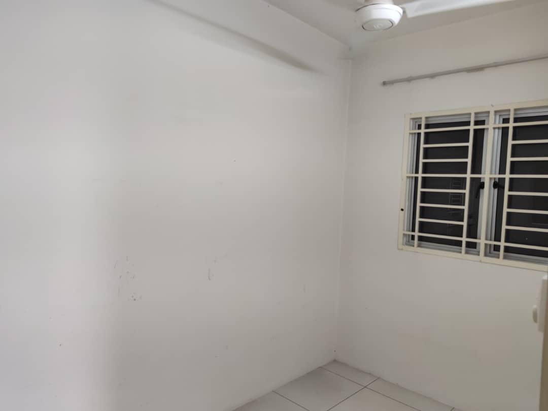Calisa M For Rent - photo 9
