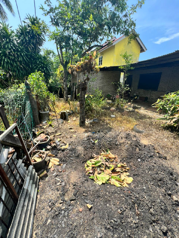 Banglo kos rendah Balok Pine - photo 3