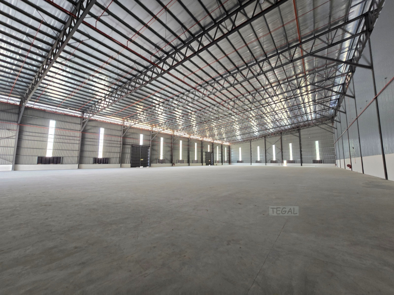 Ready Cf Warehouse S ...