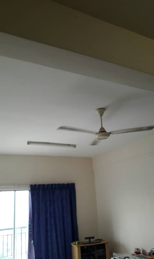 Prima setapak - photo 9