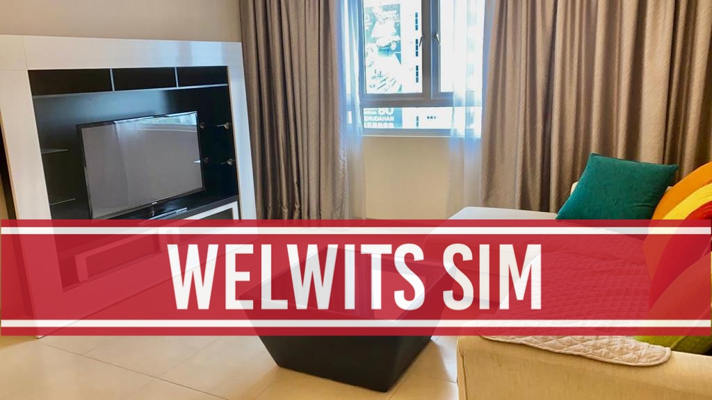 Pearl Regency Condo 1313sf  Seaview Fully Renovate - photo 6