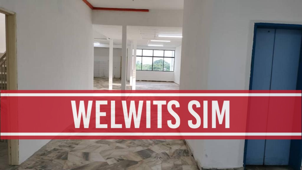 Georgetown 5 Storey Shop Lot For Rent - photo 3