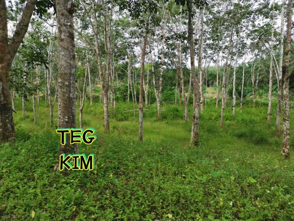 RM800K KUALA LIPIS PAHANG LAND FOR SALE - photo 1