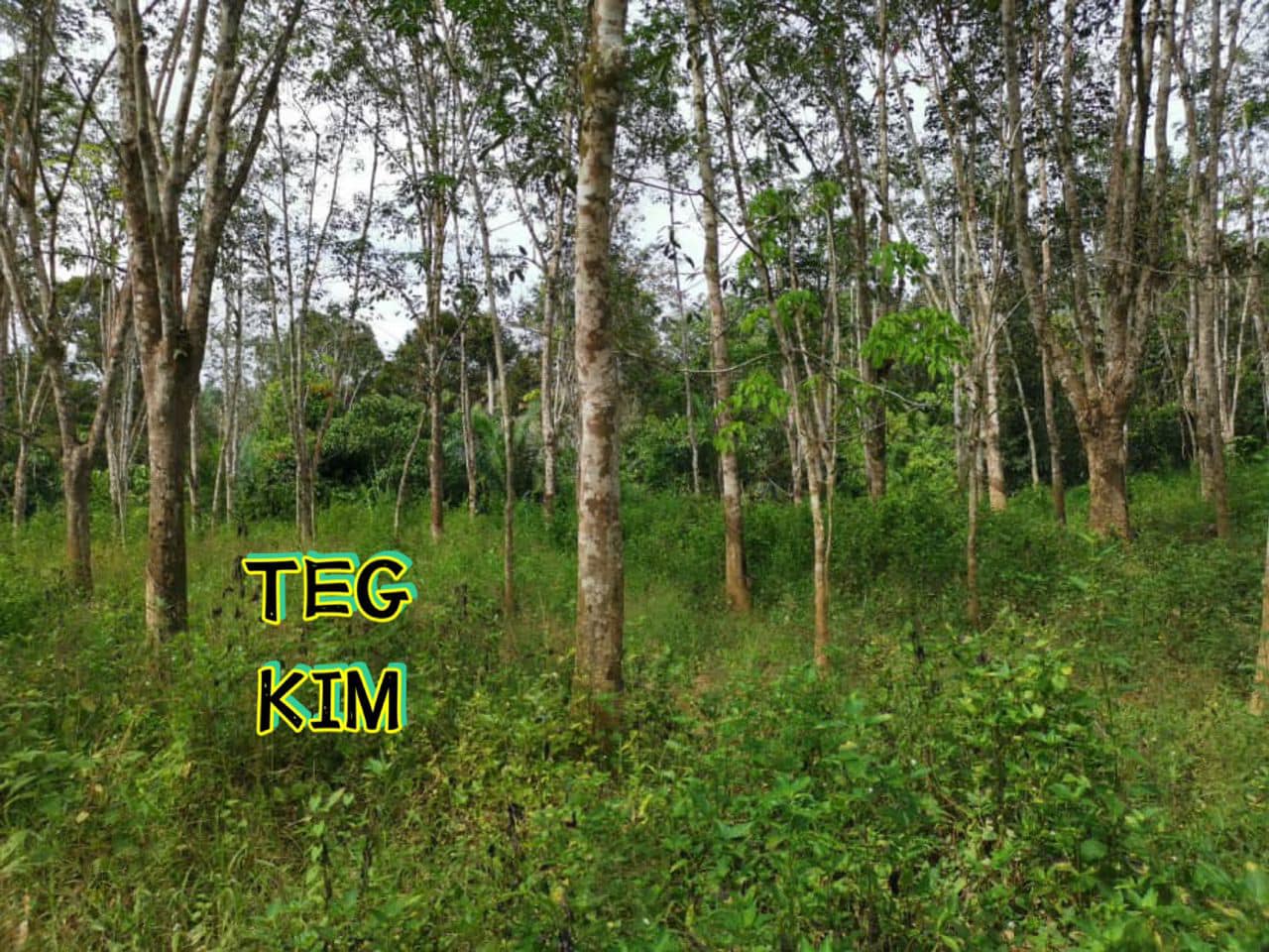 RM800K KUALA LIPIS PAHANG LAND FOR SALE - photo 2