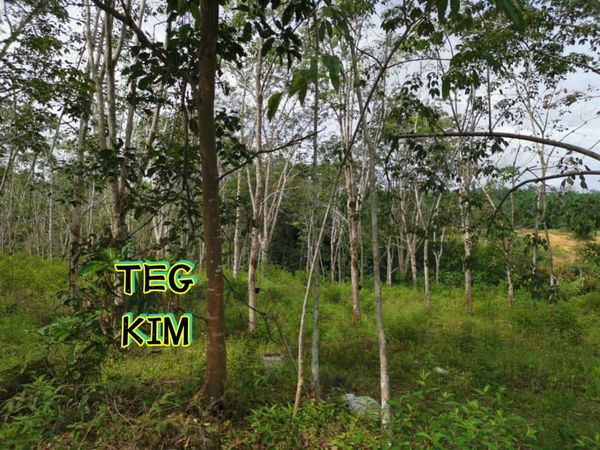 RM800K KUALA LIPIS PAHANG LAND FOR SALE - photo 3