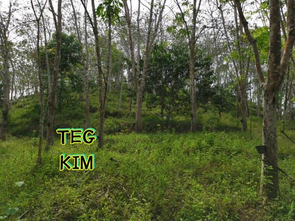 RM800K KUALA LIPIS PAHANG LAND FOR SALE - photo 4