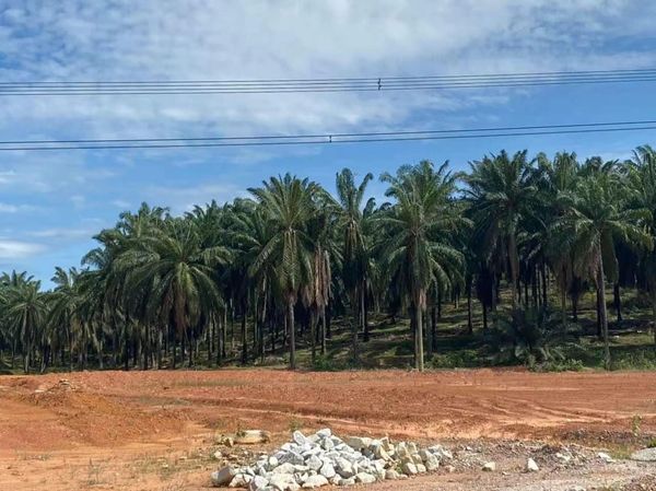 RM87 8M PUNCAK ALAM AGRICULTURE LAND - photo 1