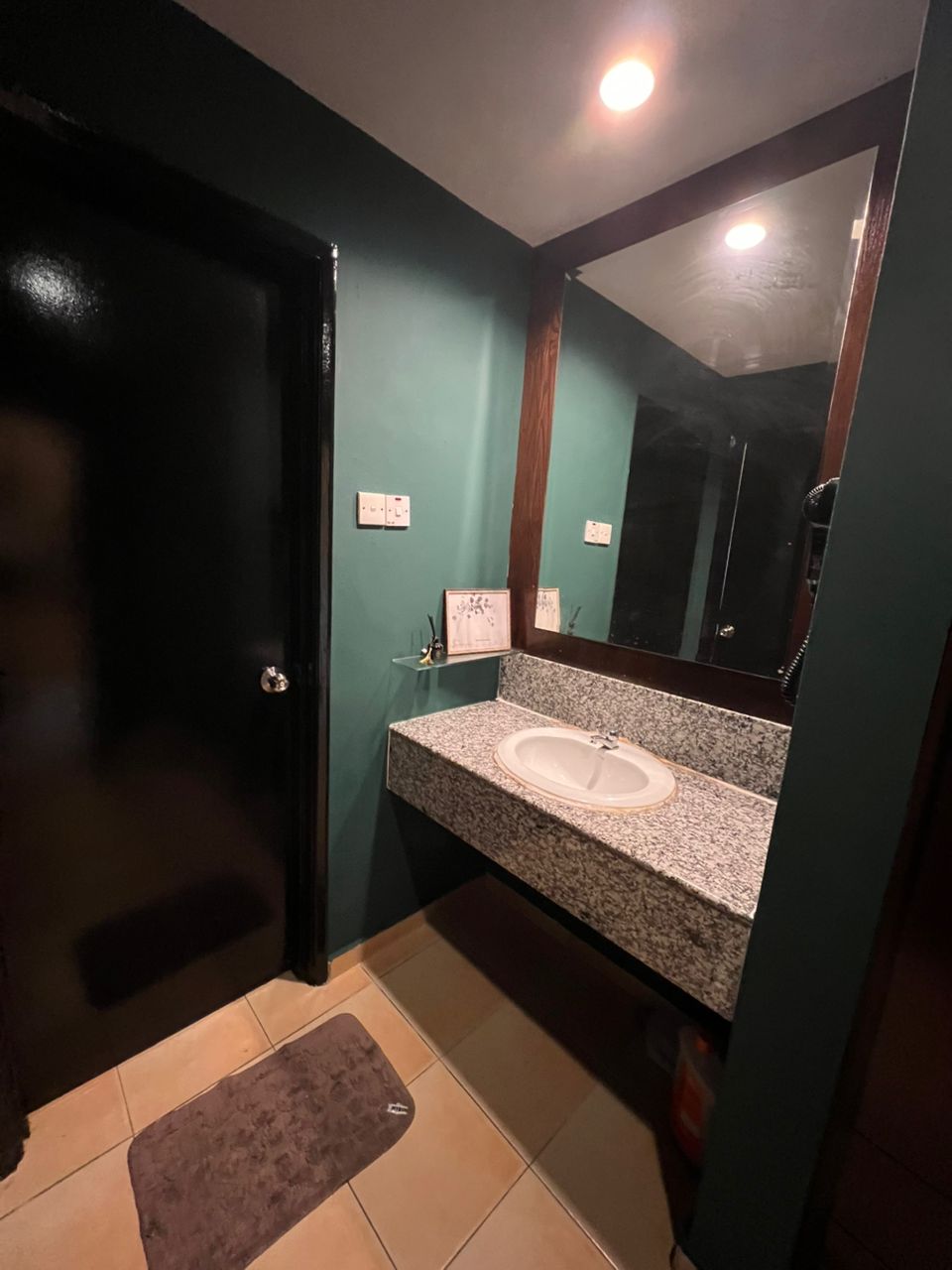 afamosa resort - photo 9