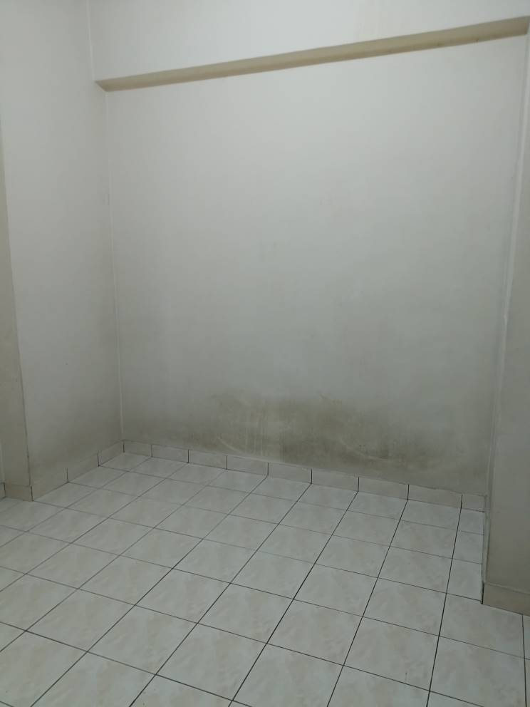 prima setapak - photo 5