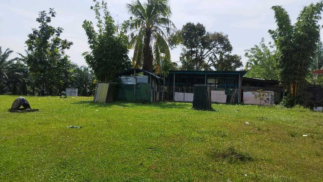 Kota Baharu 6.8 acres Freehold Agriculture Land For Sale  - photo 3