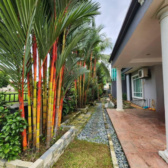Two Storey Bungalow Selangor Polo Club - photo 4