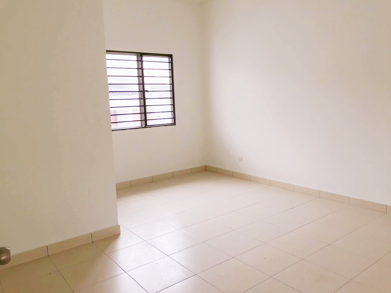 2 Sty Corner Seri Coalfields Bromelia by Kevin - photo 7