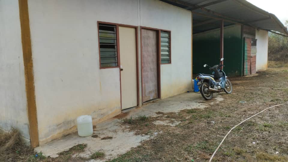 DURIAN FARM NEGERI SEMBILAN 5 LOT total by Edmond - photo 7