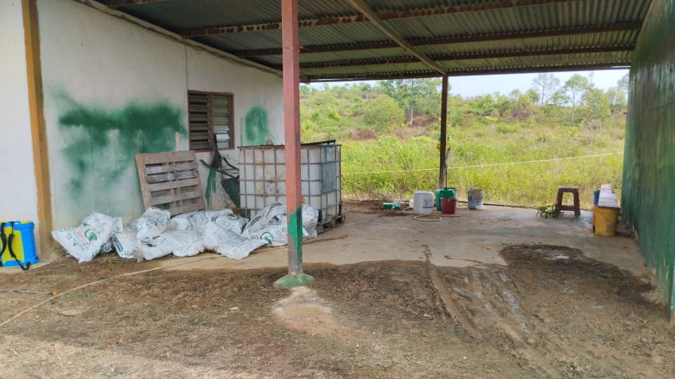 DURIAN FARM NEGERI SEMBILAN 5 LOT total by Edmond - photo 10