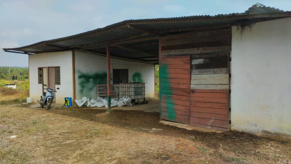 DURIAN FARM NEGERI SEMBILAN 5 LOT total by Edmond - photo 11