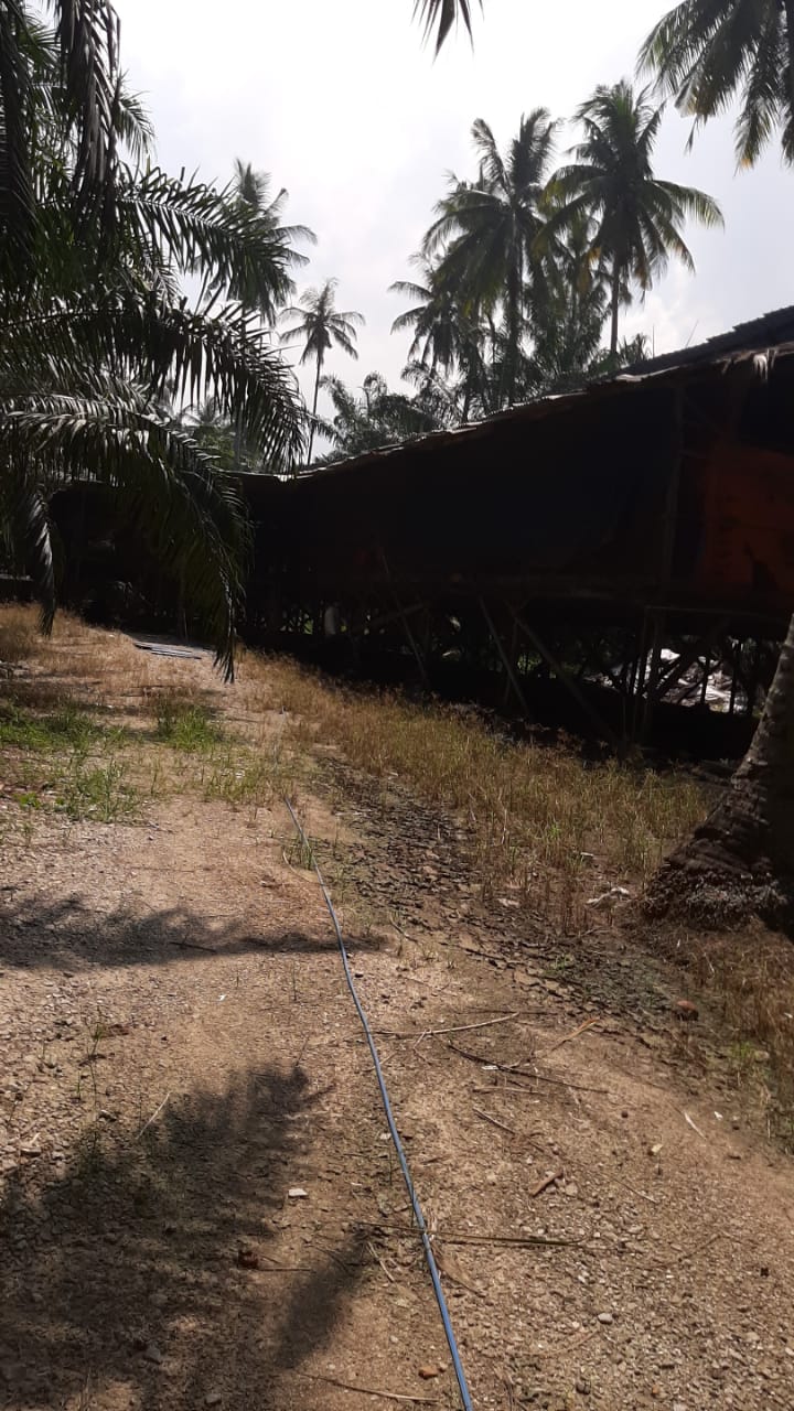 Sepang Agriculture Land for Sale 3 acres by Edmond - photo 2