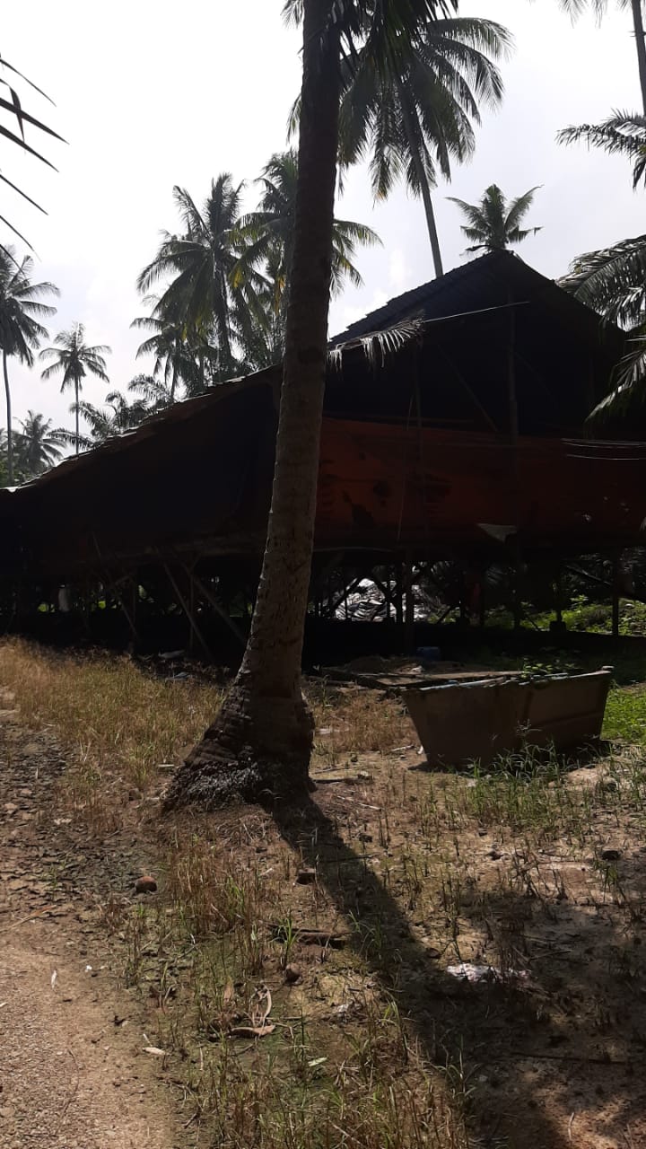 Sepang Agriculture Land for Sale 3 acres by Edmond - photo 3