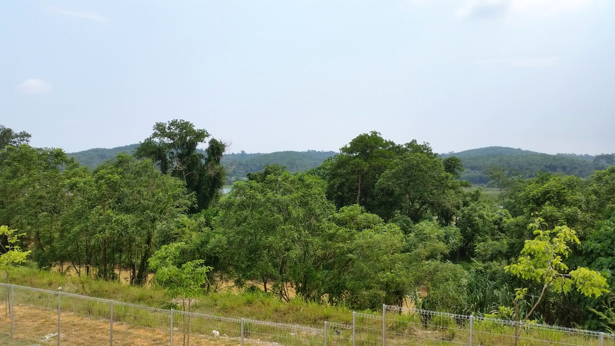 Double Sty Corner Egreta Forest View Saujana - photo 4