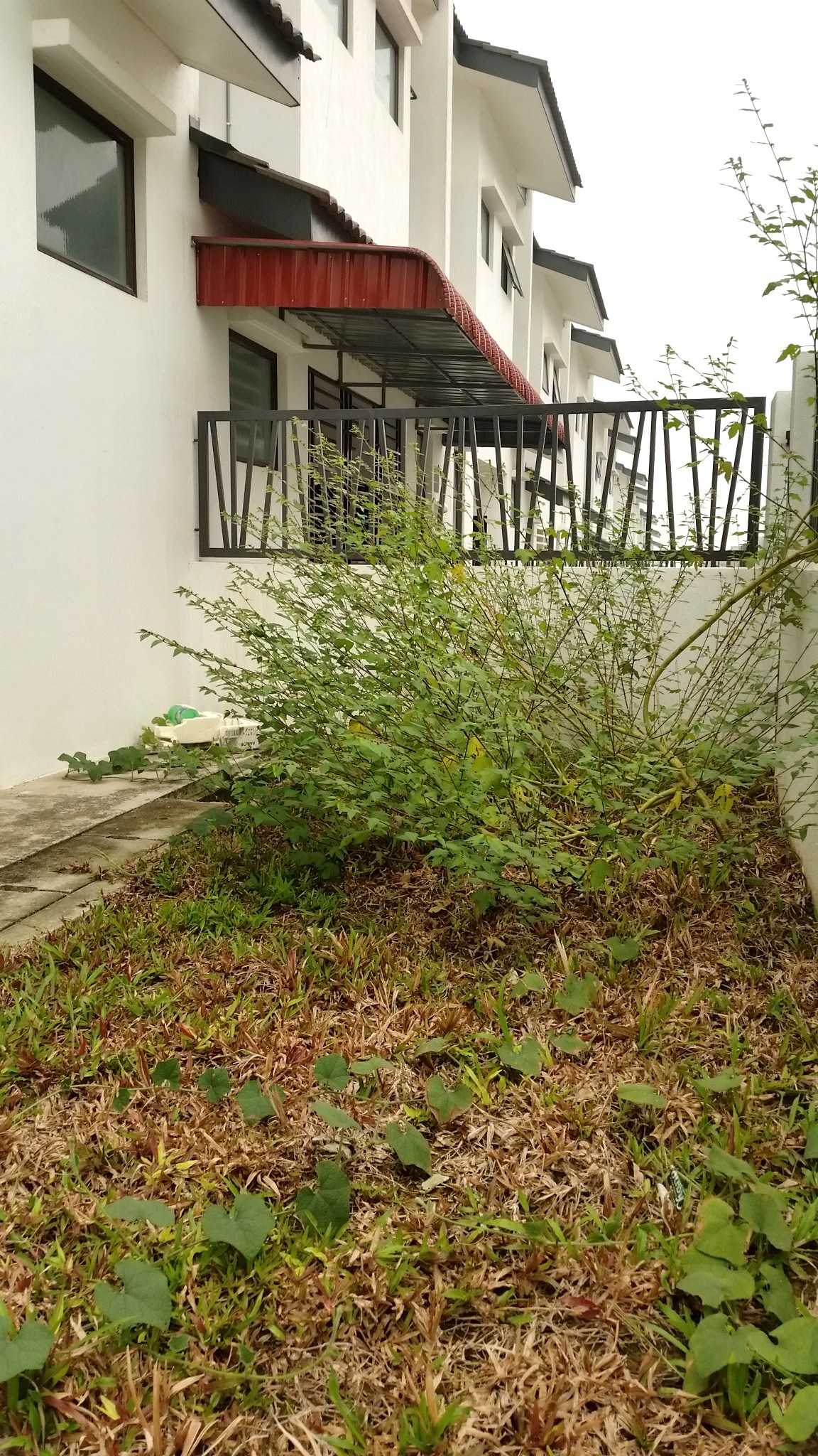 Double Sty Phase Two M Residence Rawang - photo 3
