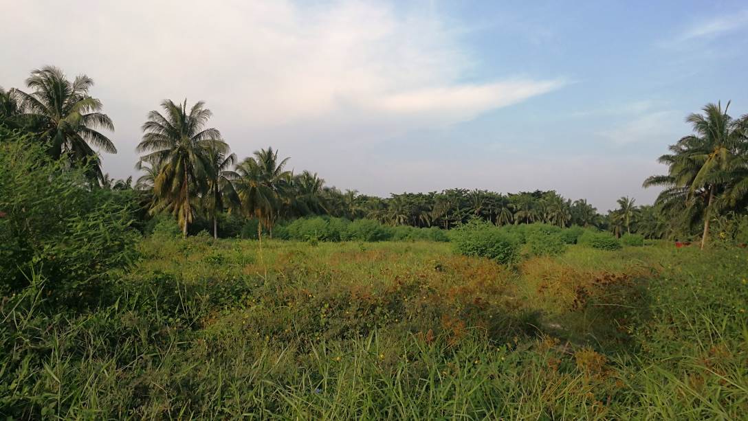 Two and Half Acre Land Jalan Kapar Kuala Selangor - photo 3