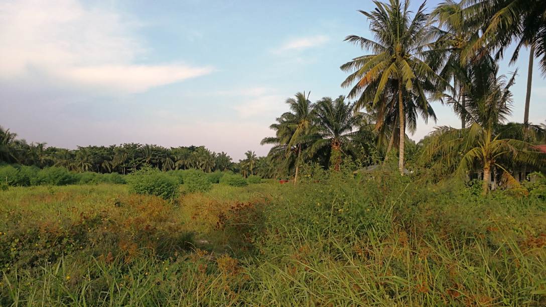 Two and Half Acre Land Jalan Kapar Kuala Selangor - photo 4