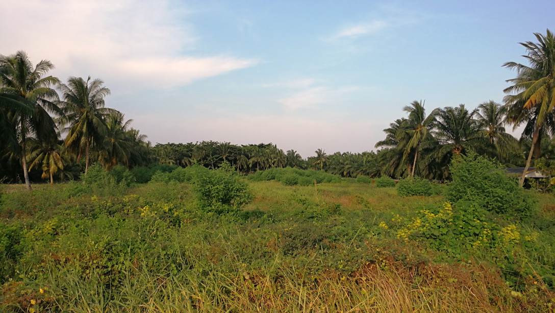 Two and Half Acre Land Jalan Kapar Kuala Selangor - photo 5