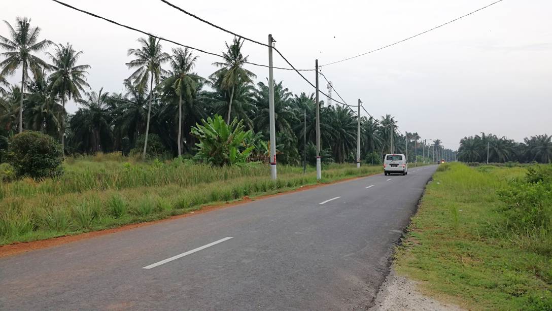1Acre 4yrs Oil Palm Land Api Api Kuala Selangor - photo 5