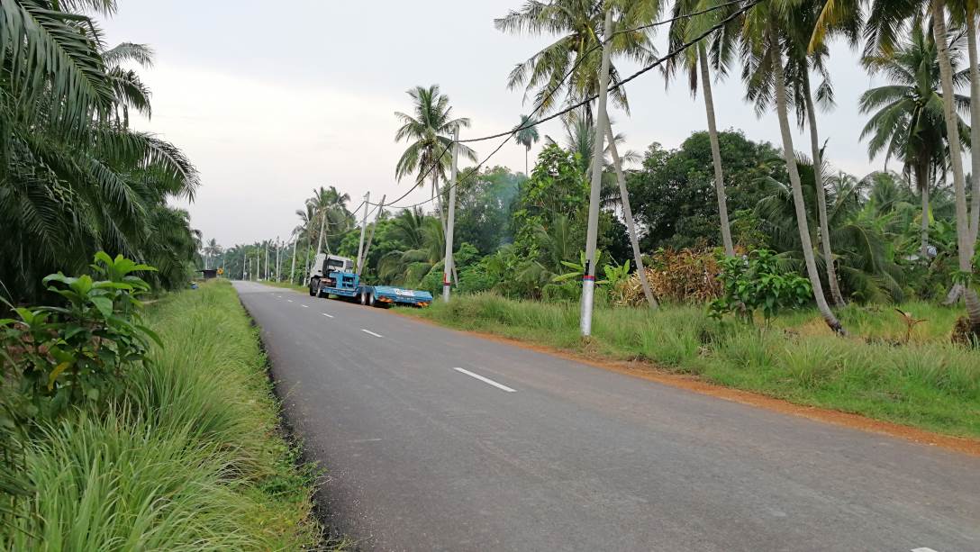 1Acre 6yrs Oil Palm Land Api Api Kuala Selangor - photo 6