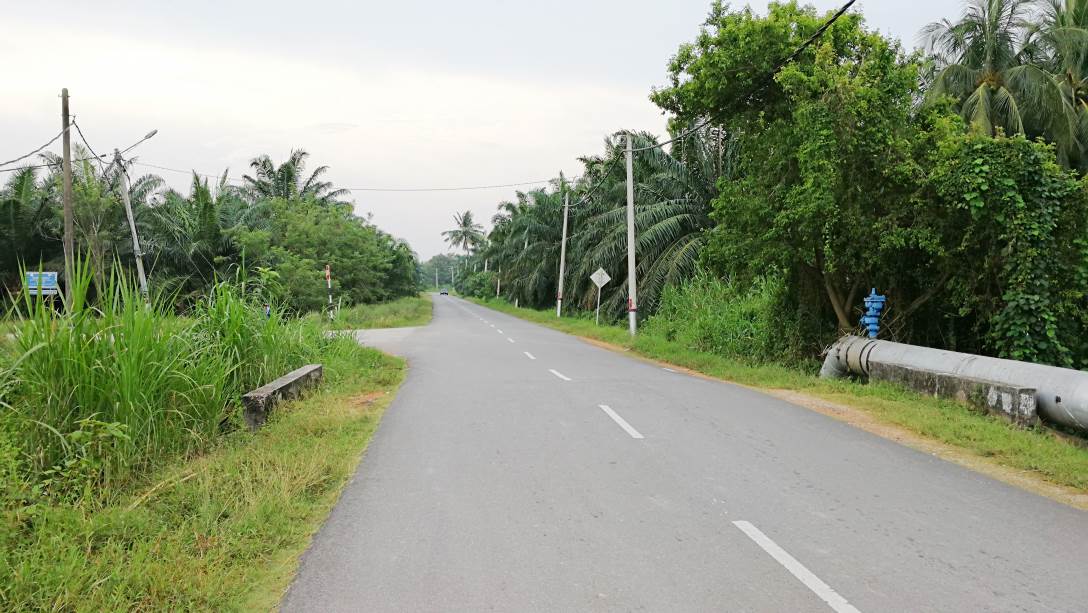 1Acre 6yrs Oil Palm Land Api Api Kuala Selangor - photo 7