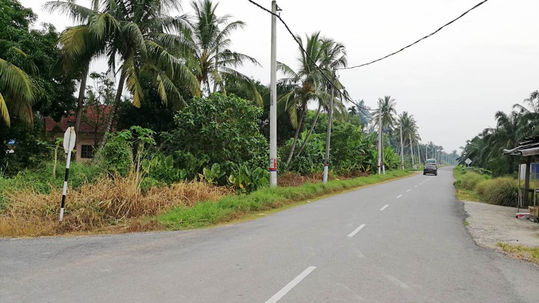 1Acre 6yrs Oil Palm Land Api Api Kuala Selangor - photo 8