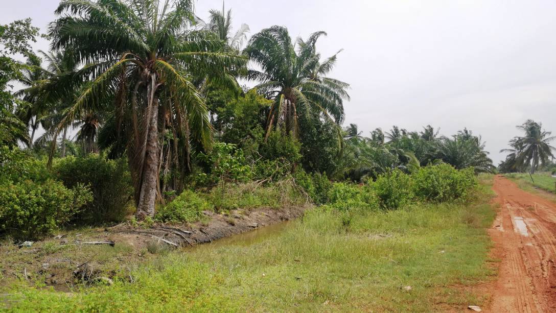1Acre Bumi Lot Api Api Kuala Selangor - photo 3