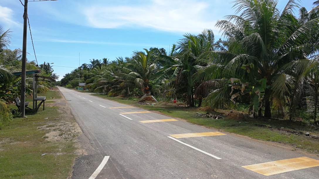 5Acre Coconut Land Parit Serong Tanjung Karang Kua - photo 2