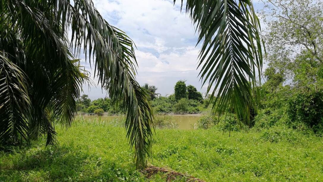 4Acres Agricultural Next to River Kampung Kuantan - photo 4