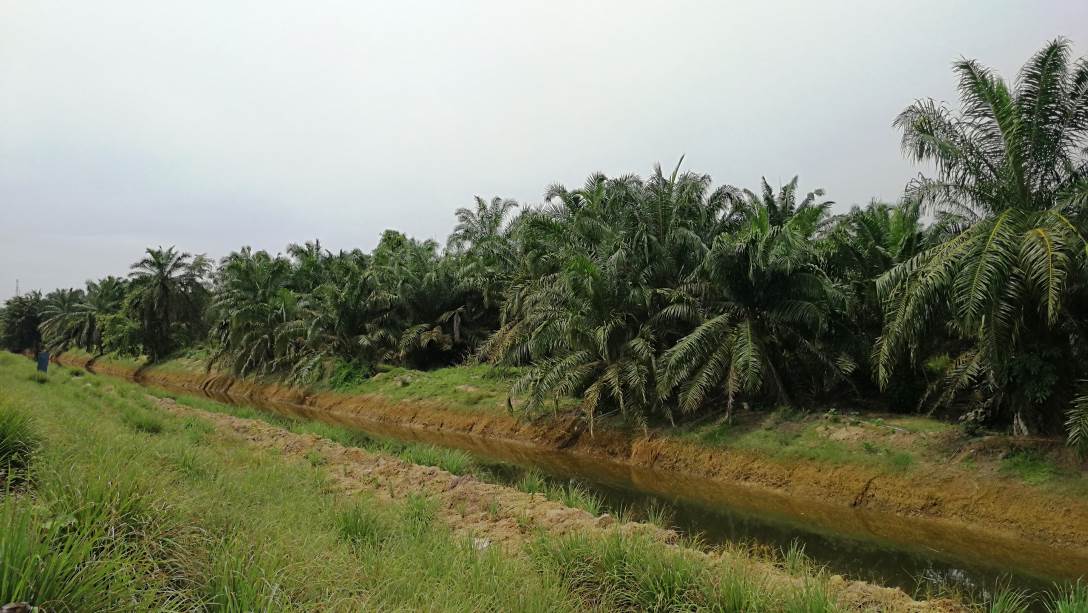 2 Acres Agricultural next to River Sasaran - photo 4
