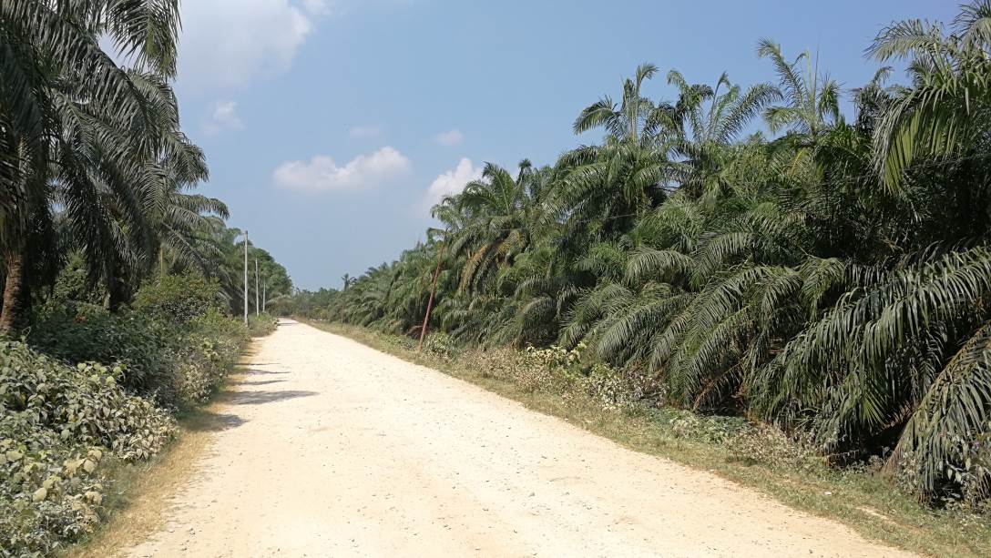 5Acres Freehold Main Road Parit Serong Tanjung Kar - photo 5