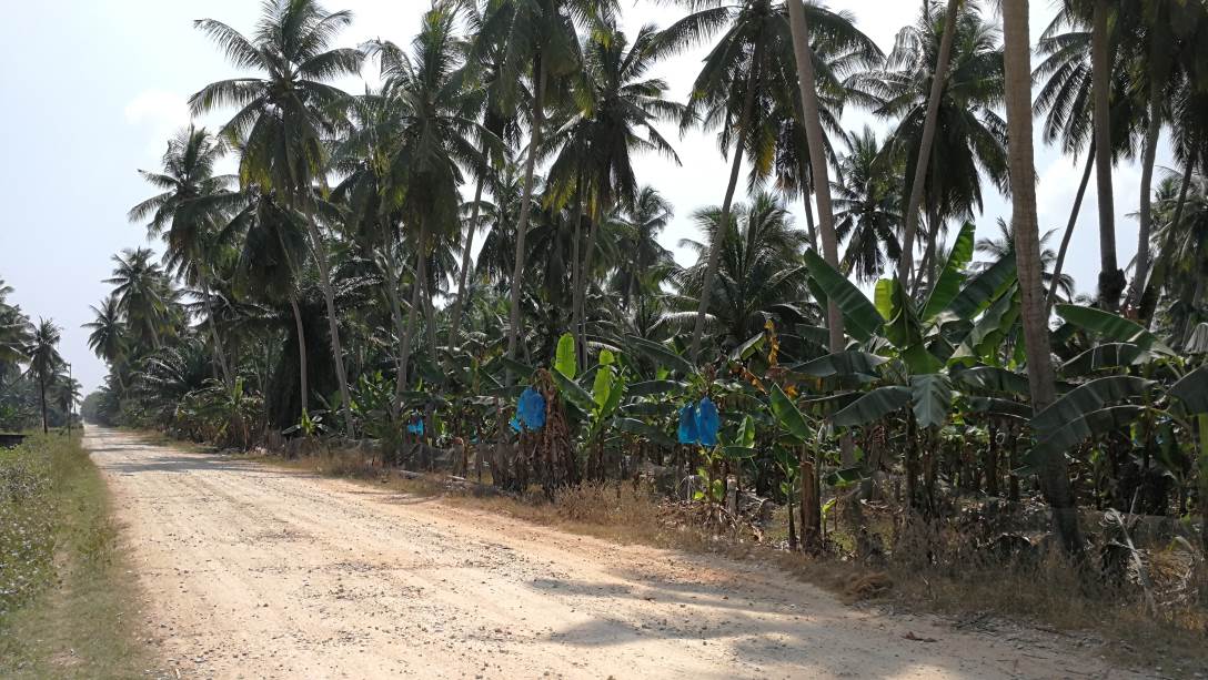 5Acres Freehold Main Road Parit Serong Tanjung Kar - photo 6