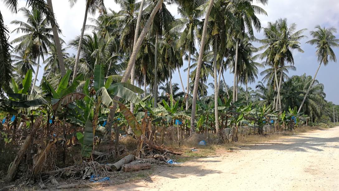 5Acres Freehold Main Road Parit Serong Tanjung Kar - photo 7
