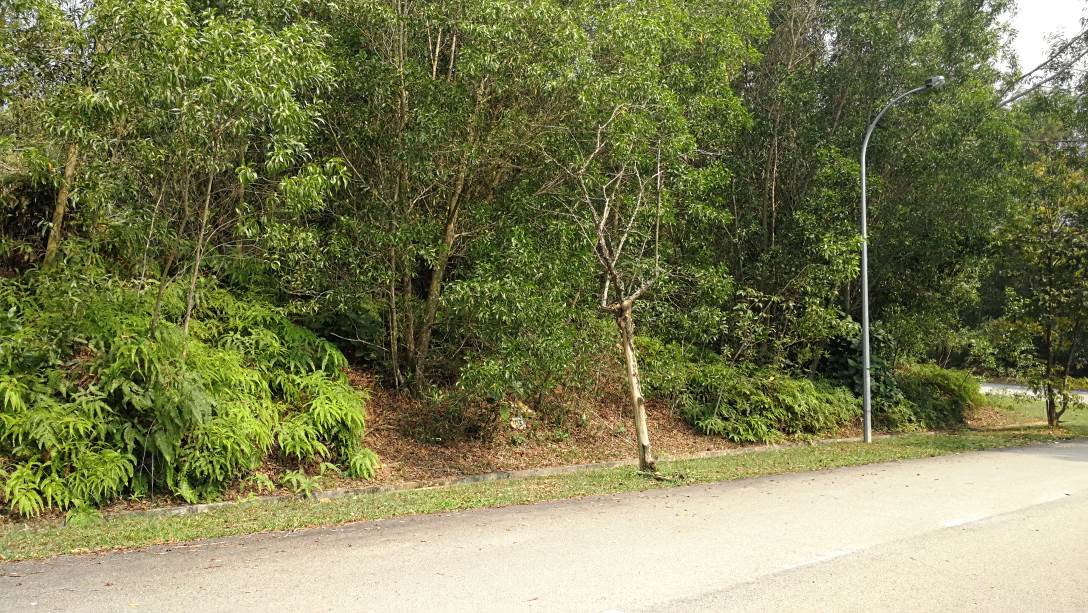Bungalow Lot 9300sf Subang Bestari - photo 2