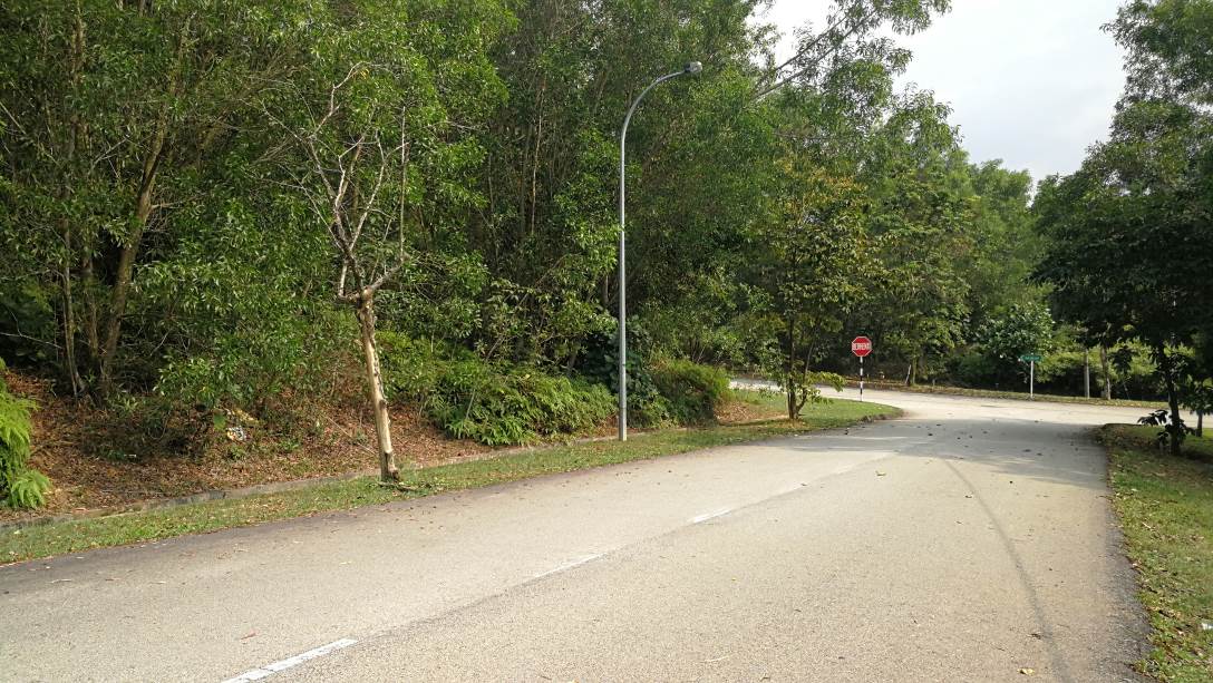 Bungalow Lot 9300sf Subang Bestari - photo 3