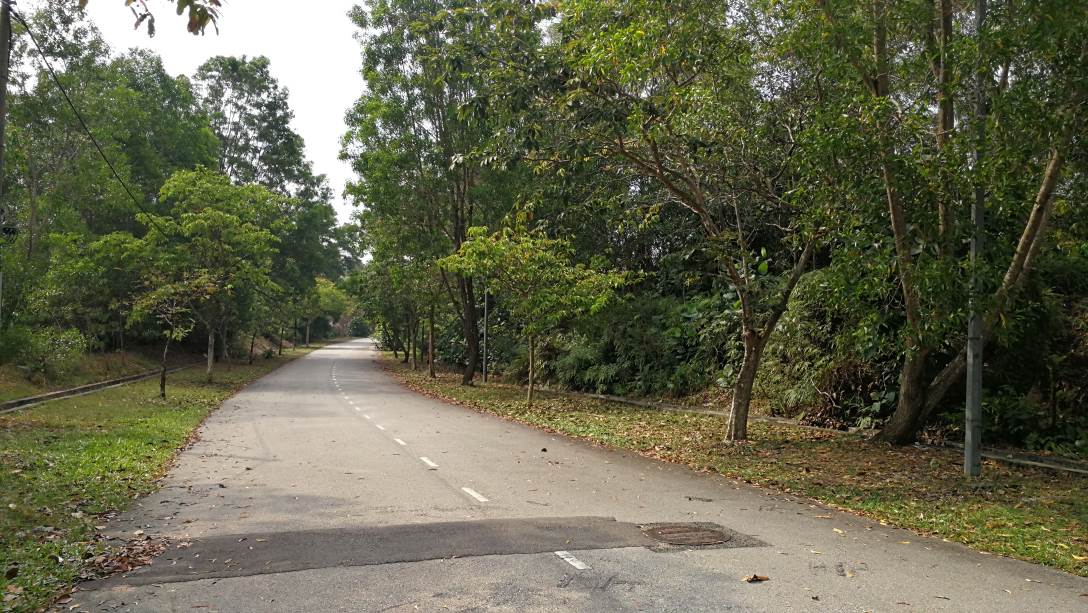 Bungalow Lot 9300sf Subang Bestari - photo 8